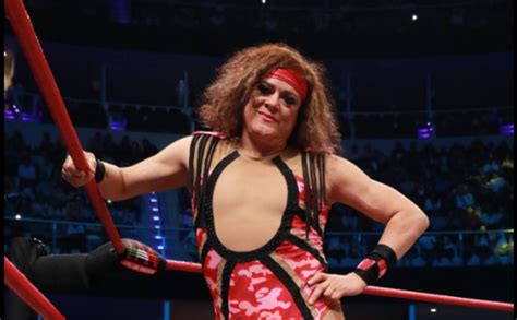 pimpinela luchador|cagematch pimpinela escarlata.